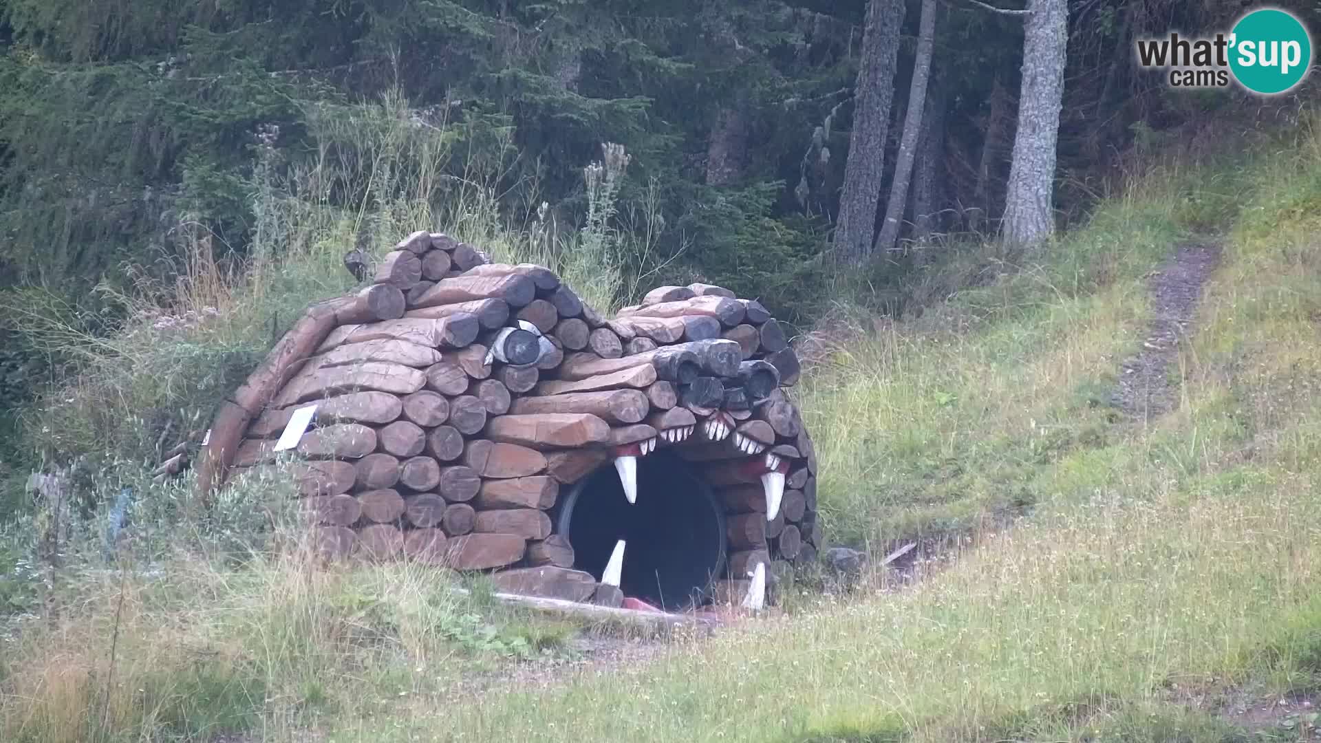 Kranjska Gora web kamera Vitranc | VITRANC 1 gornja postaja