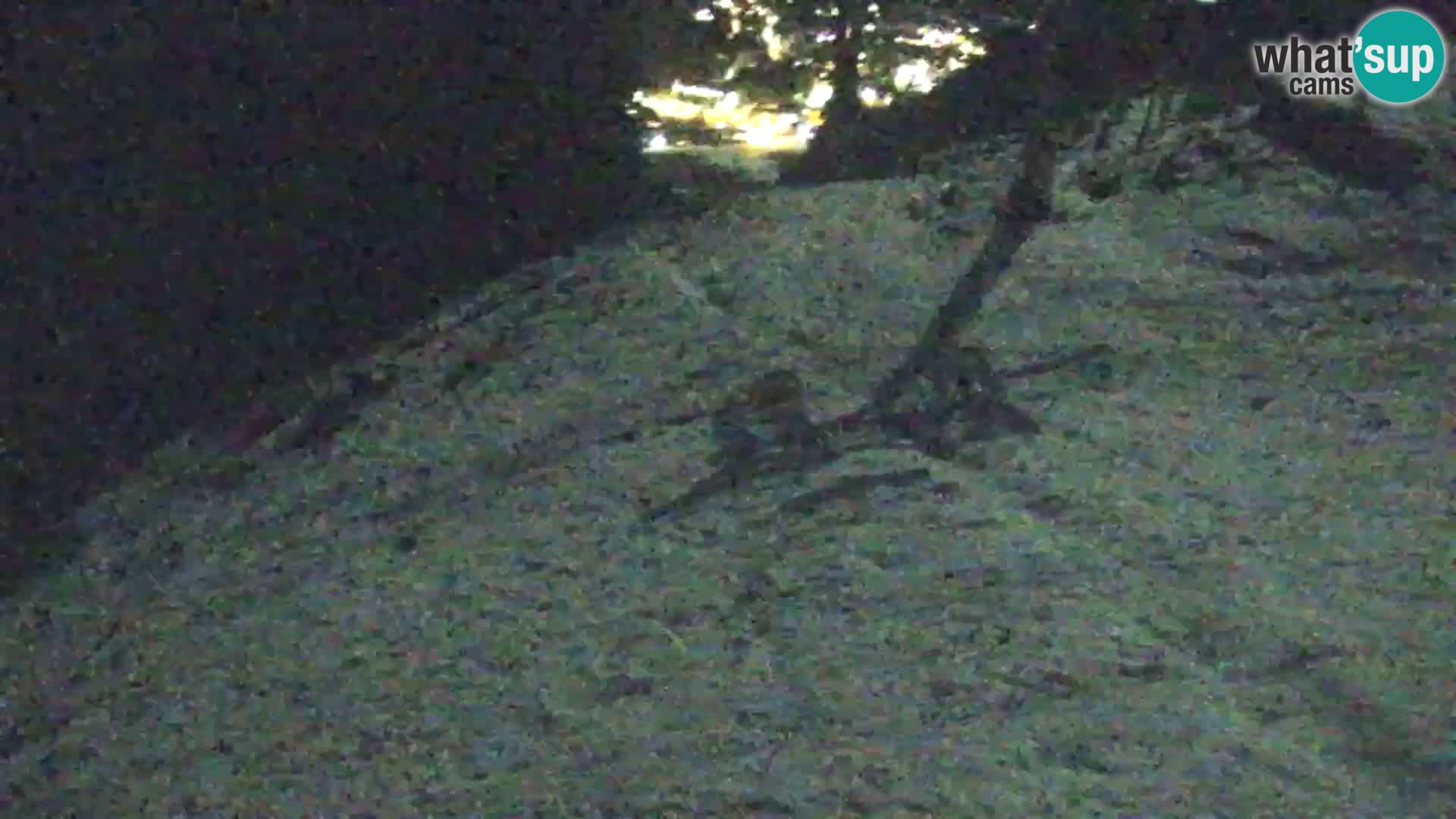 Kranjska Gora livecam VITRANC 1 | estación superior