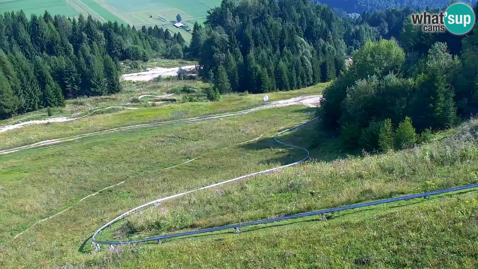 Vitranc Kranjska Gora webcam | VITRANC 1 stazione superiore
