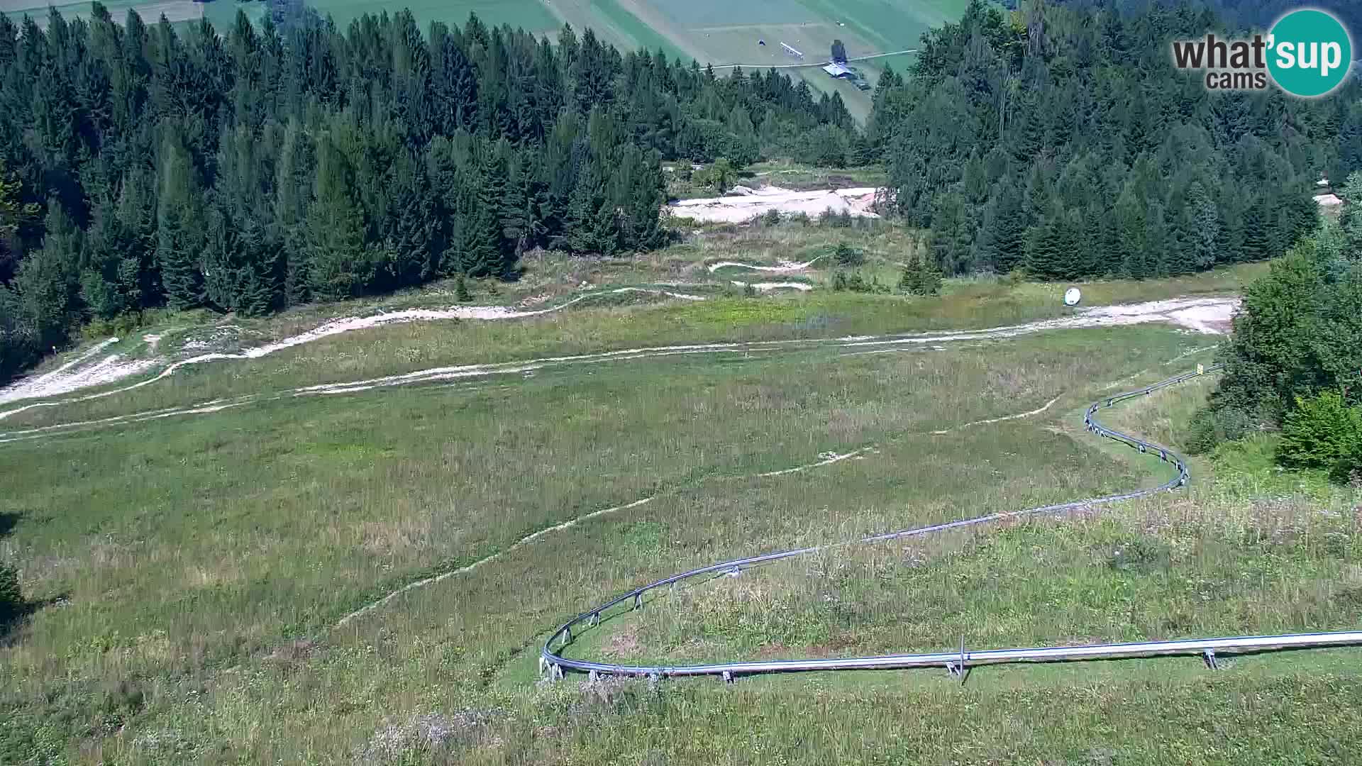 Vitranc Kranjska Gora webcam | VITRANC 1 stazione superiore