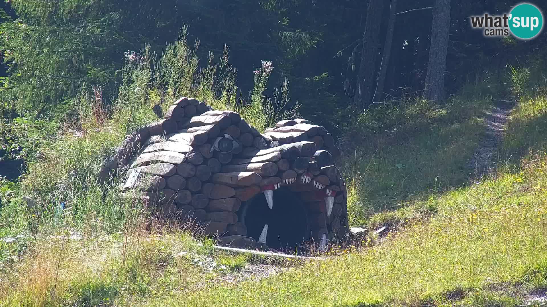 Kranjska Gora kamera VITRANC 1 | Zgornja postaja