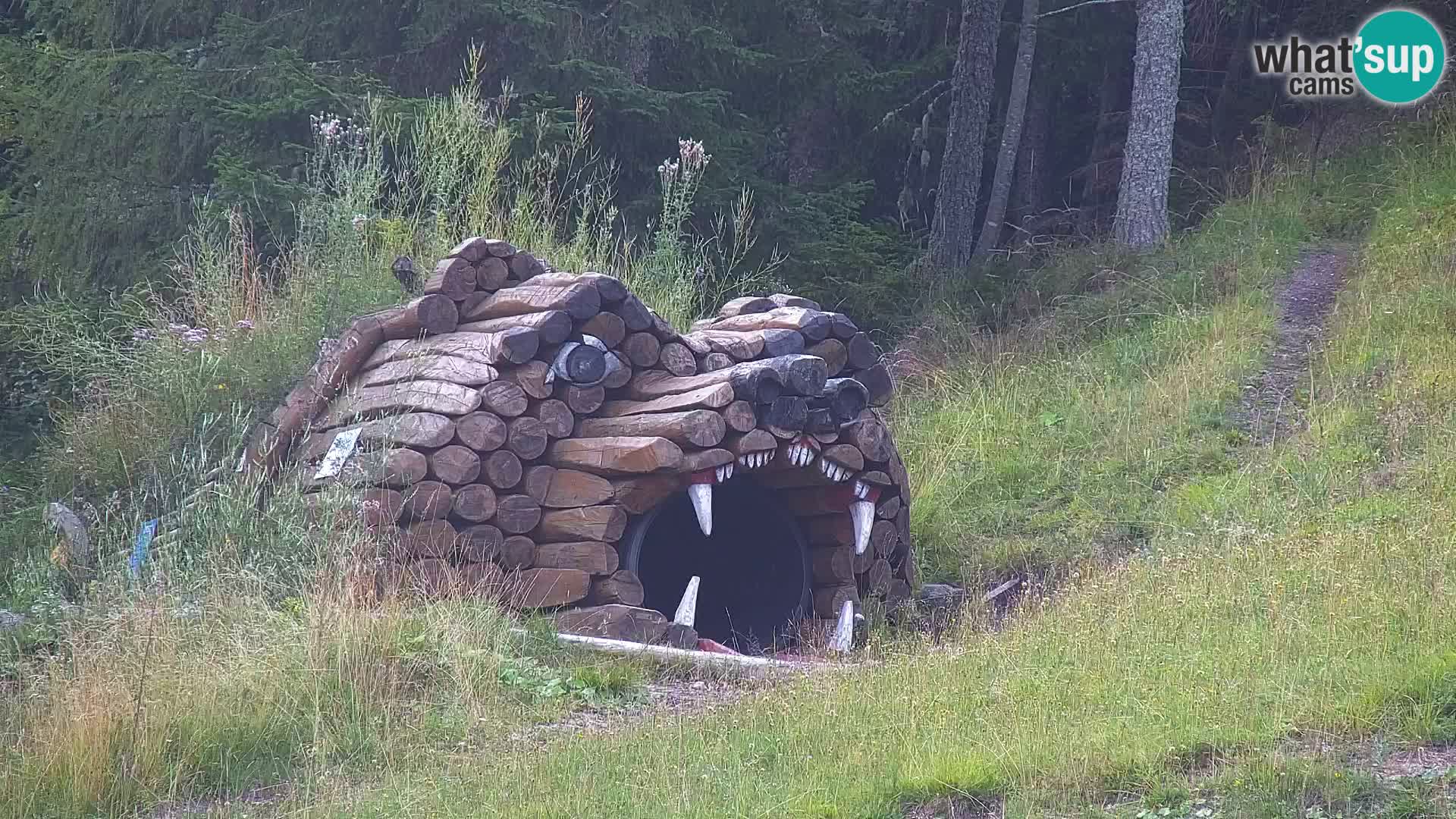 Kranjska Gora kamera VITRANC 1 | Zgornja postaja