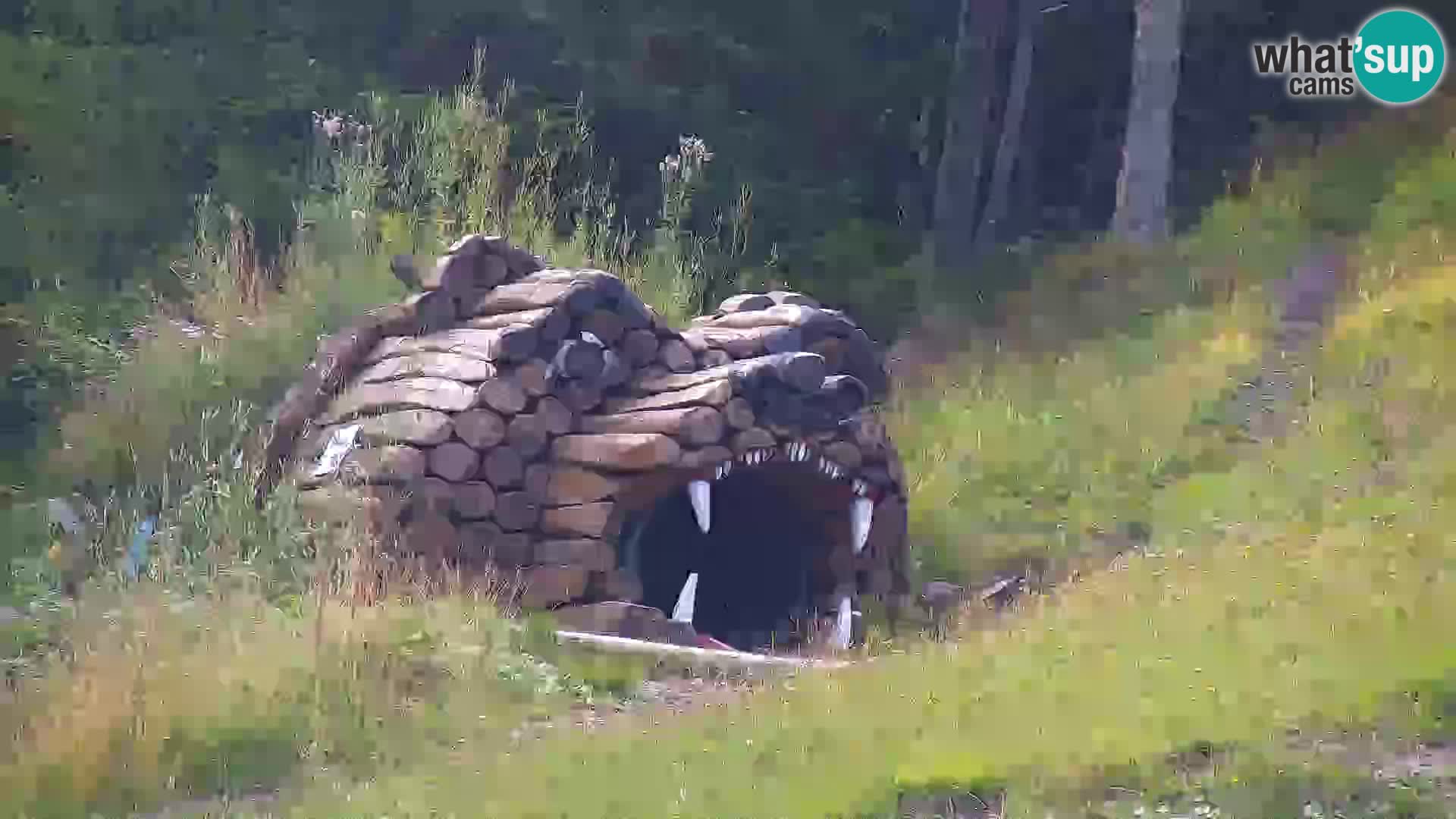 Kranjska Gora kamera VITRANC 1 | Zgornja postaja