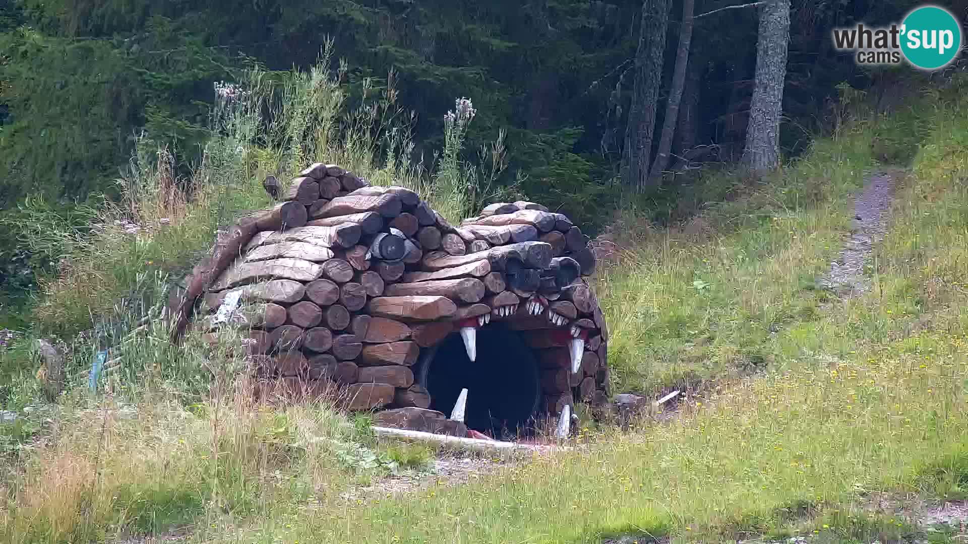 Kranjska Gora web kamera Vitranc | VITRANC 1 gornja postaja