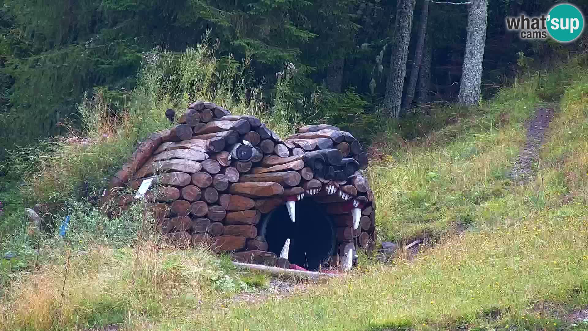 Kranjska Gora kamera VITRANC 1 | Zgornja postaja