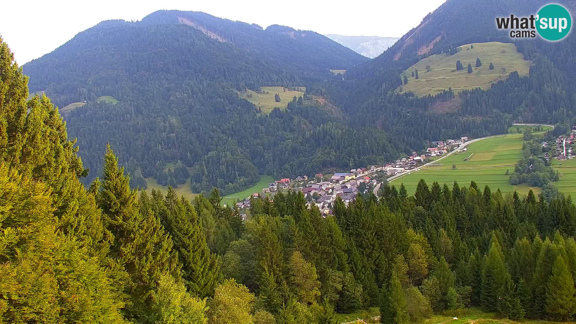 Vitranc Kranjska Gora webcam | VITRANC 1 stazione superiore