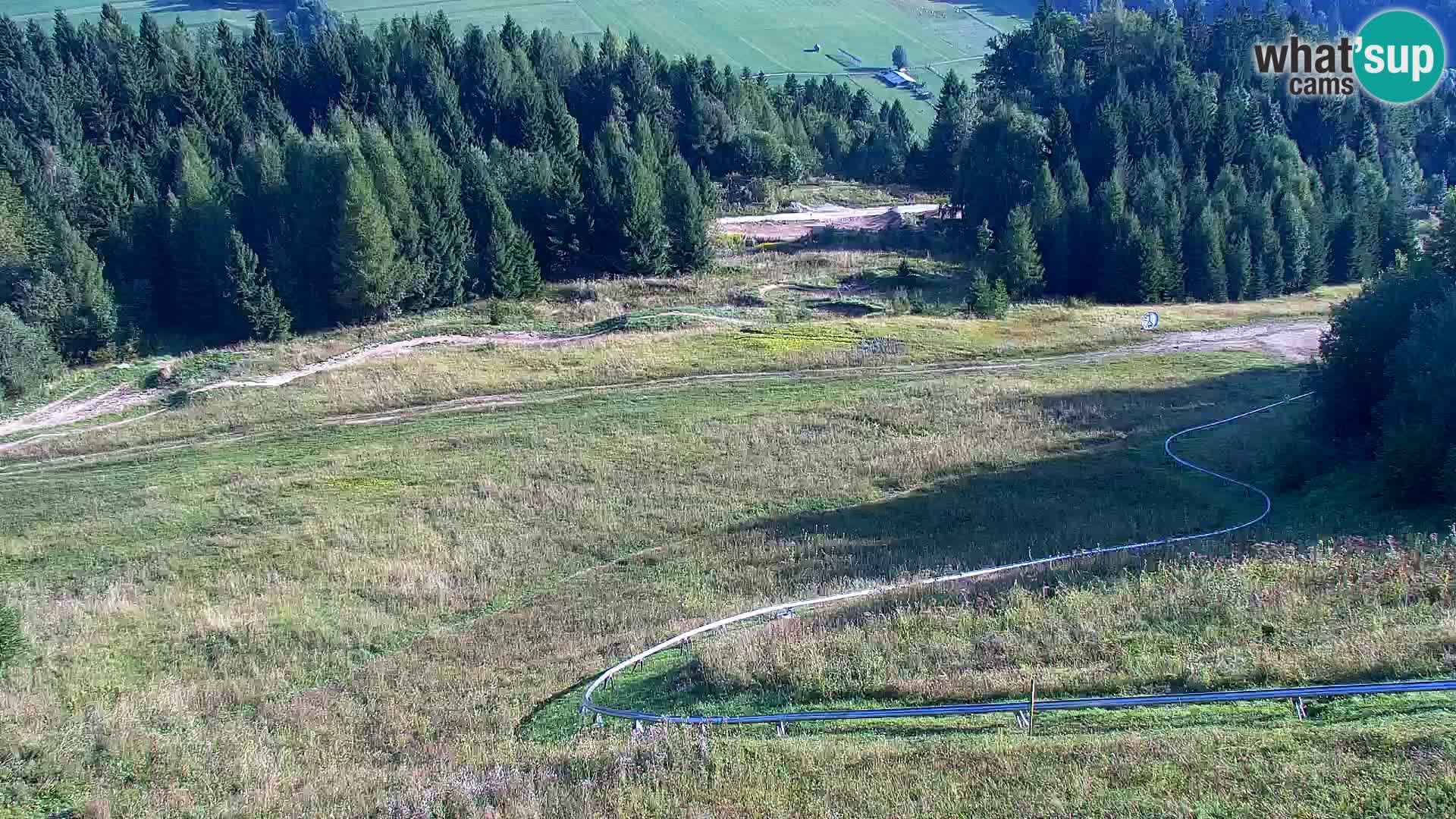 Vitranc Kranjska Gora webcam | VITRANC 1 stazione superiore