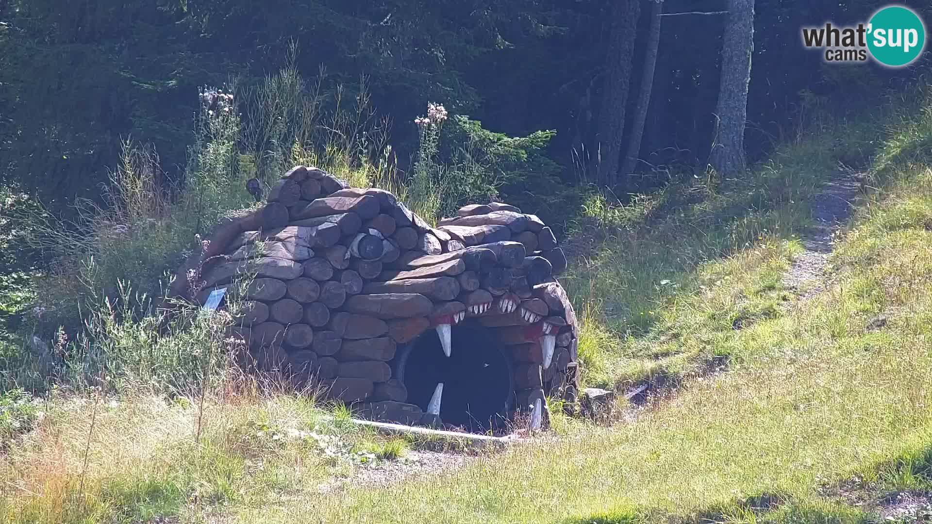 Kranjska Gora kamera VITRANC 1 | Zgornja postaja