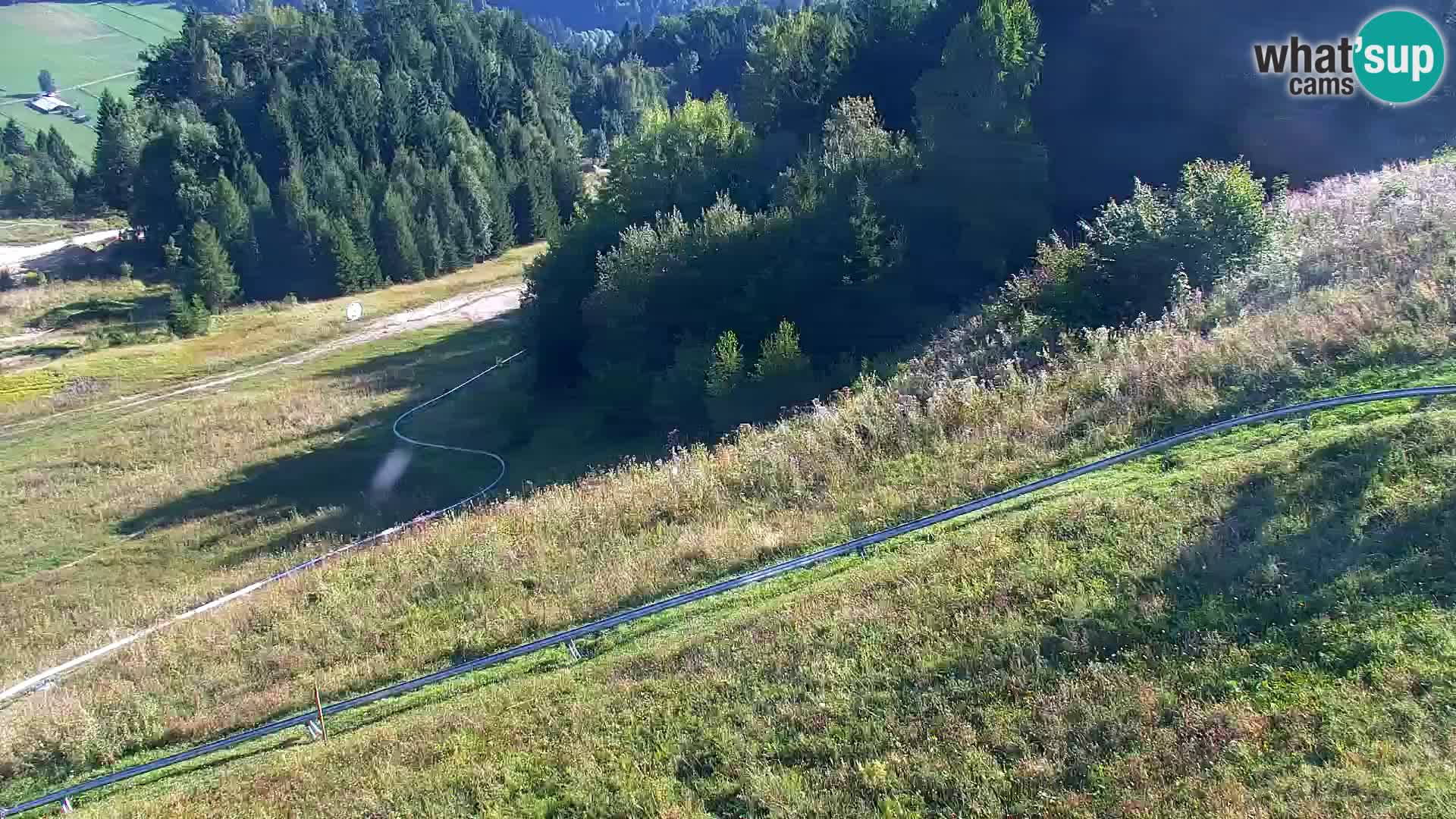 Vitranc Kranjska Gora webcam | VITRANC 1 stazione superiore