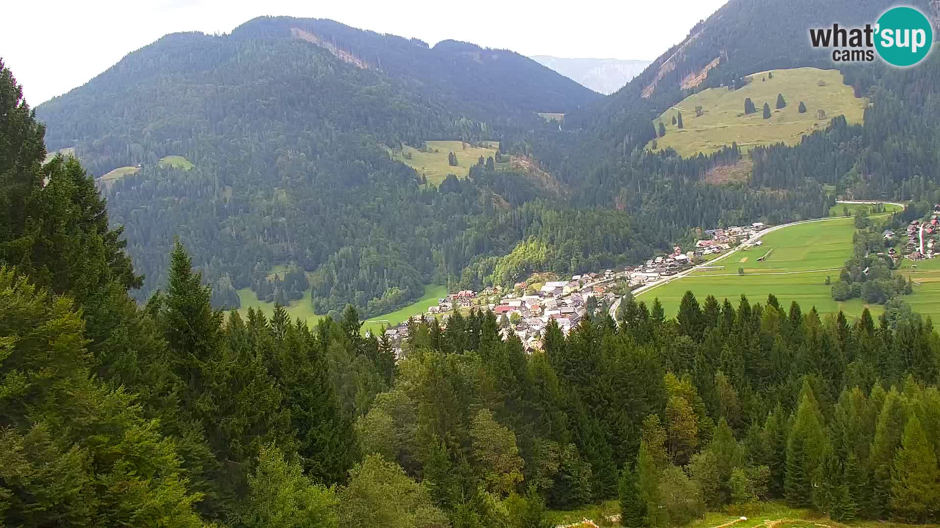 Vitranc Kranjska Gora webcam | VITRANC 1 stazione superiore