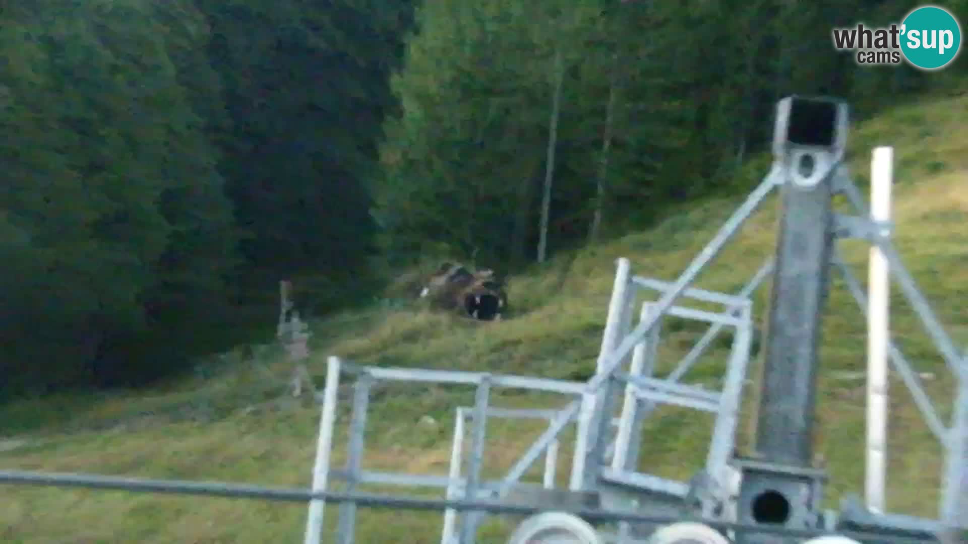 Kranjska Gora livecam VITRANC 1 | estación superior