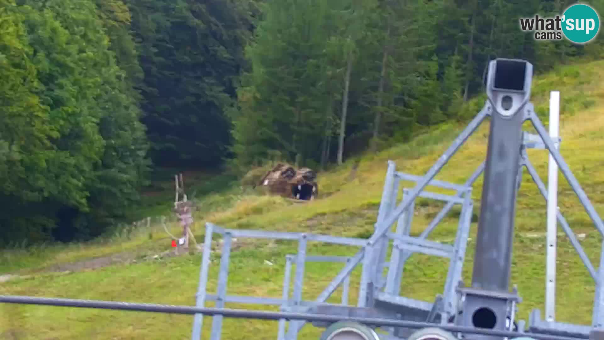 Vitranc Kranjska Gora webcam | VITRANC 1 stazione superiore