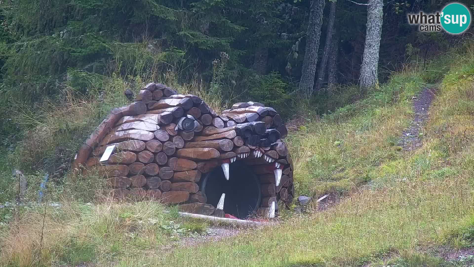 Kranjska Gora web kamera Vitranc | VITRANC 1 gornja postaja