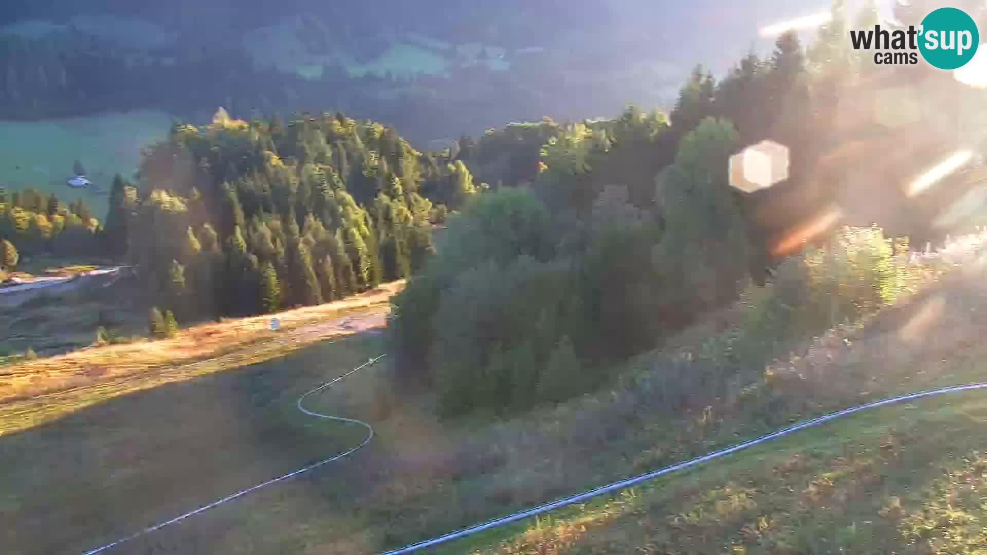 Vitranc Kranjska Gora webcam | VITRANC 1 stazione superiore