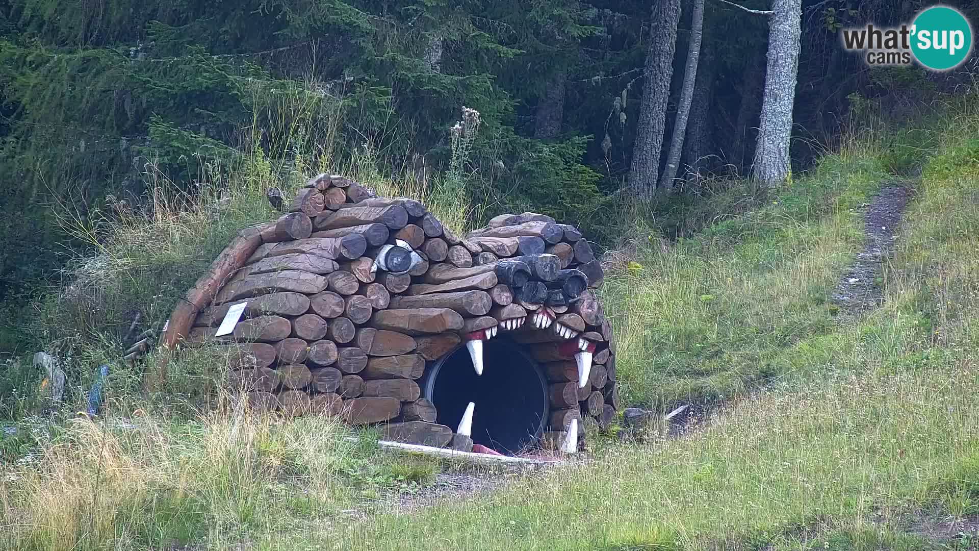 Kranjska Gora web kamera Vitranc | VITRANC 1 gornja postaja