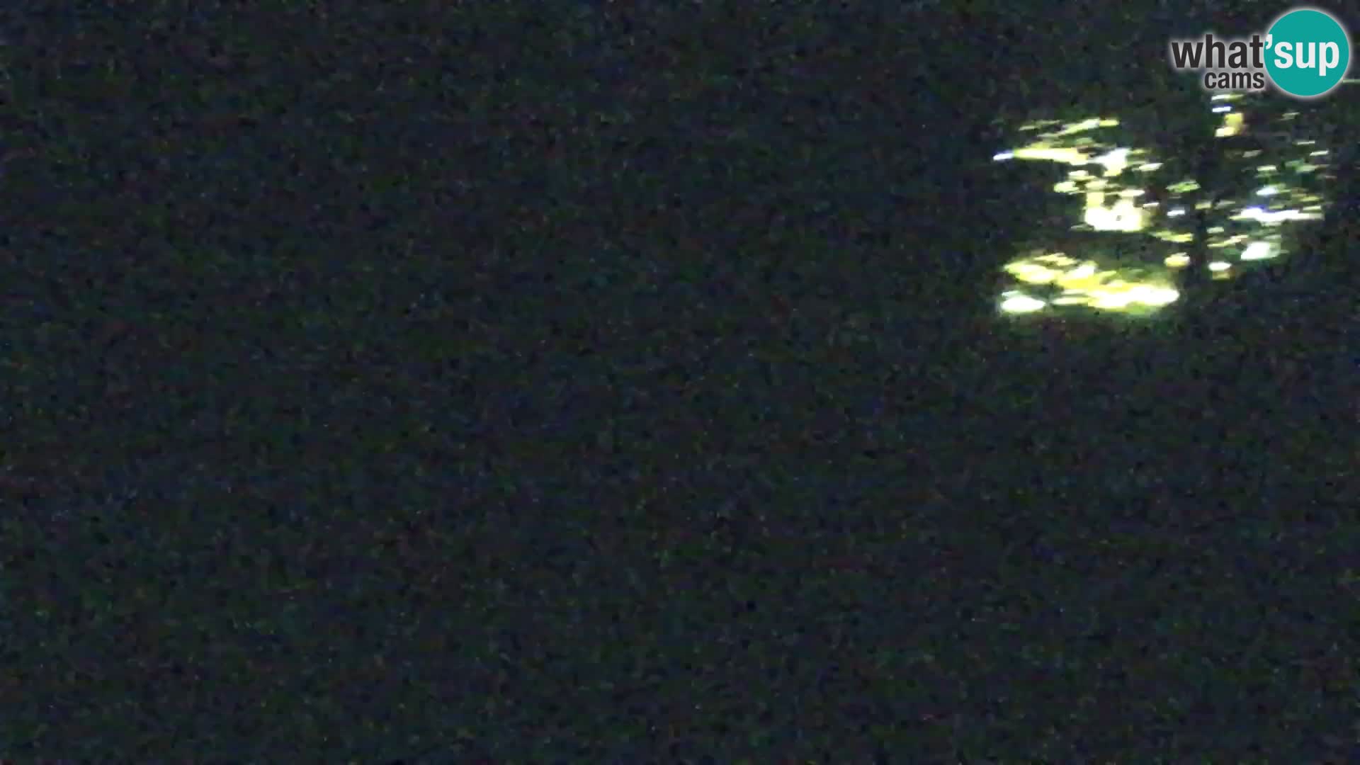 Vitranc Kranjska Gora webcam | VITRANC 1 stazione superiore
