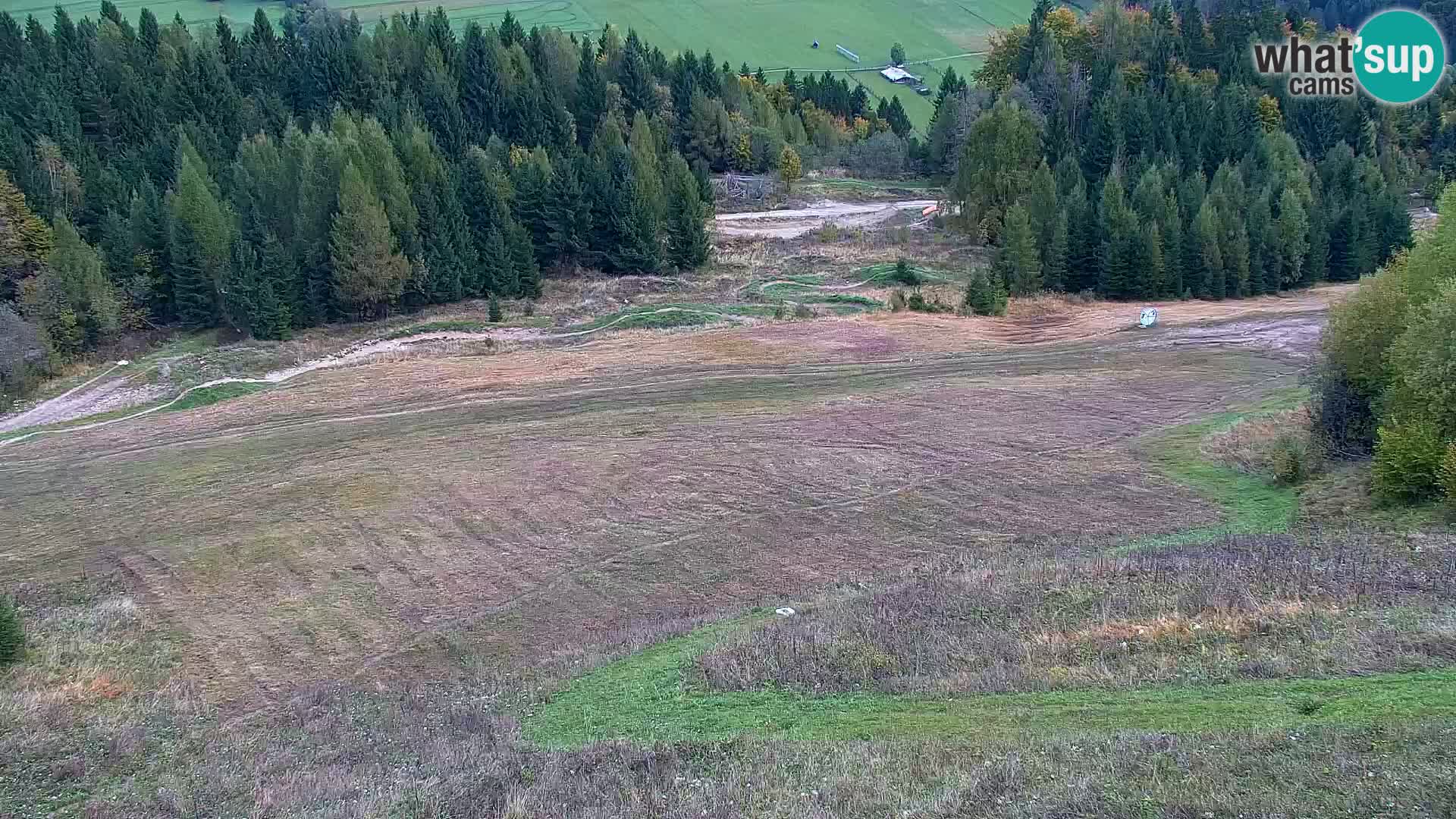 Vitranc Kranjska Gora webcam | VITRANC 1 stazione superiore