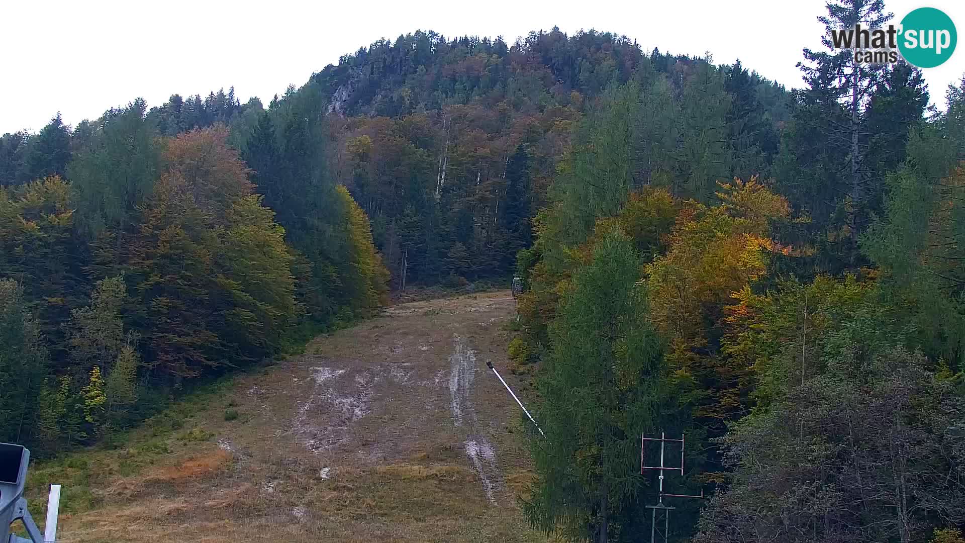 Vitranc Kranjska Gora webcam | VITRANC 1 stazione superiore