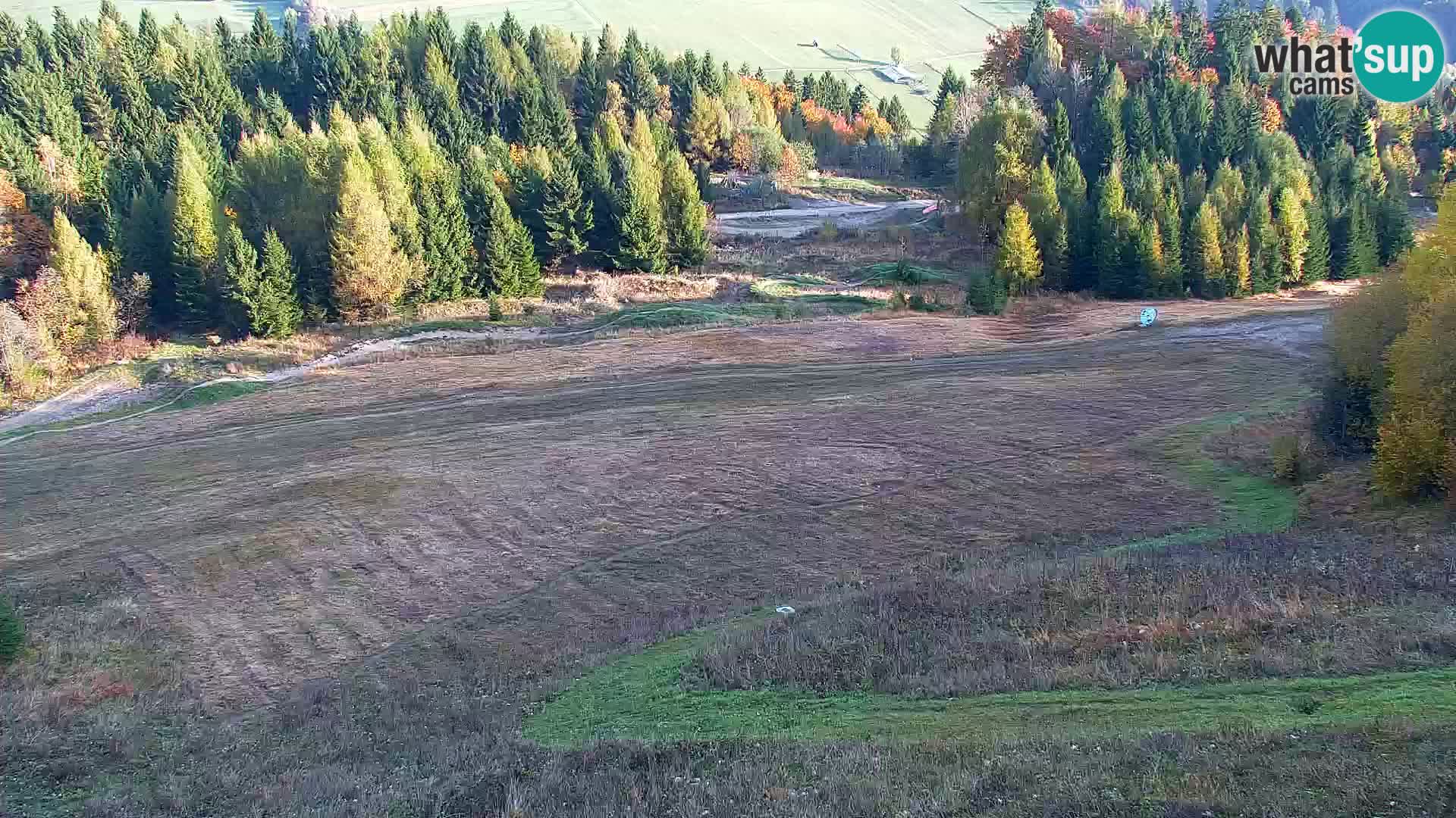 Vitranc Kranjska Gora webcam | VITRANC 1 stazione superiore