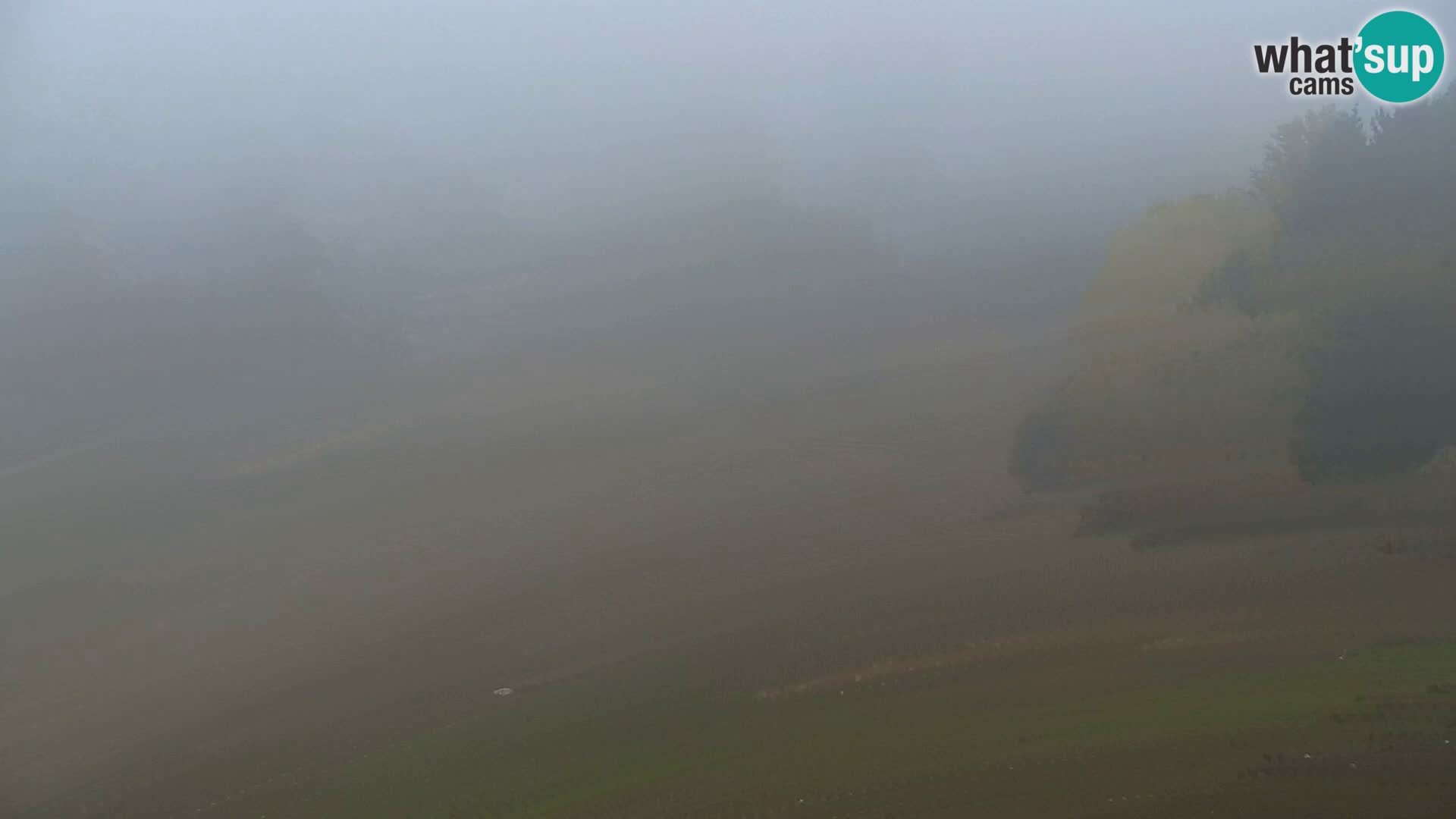 Vitranc Kranjska Gora webcam | VITRANC 1 stazione superiore