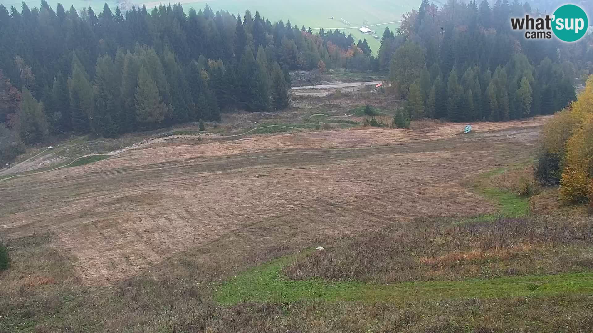 Vitranc Kranjska Gora webcam | VITRANC 1 stazione superiore