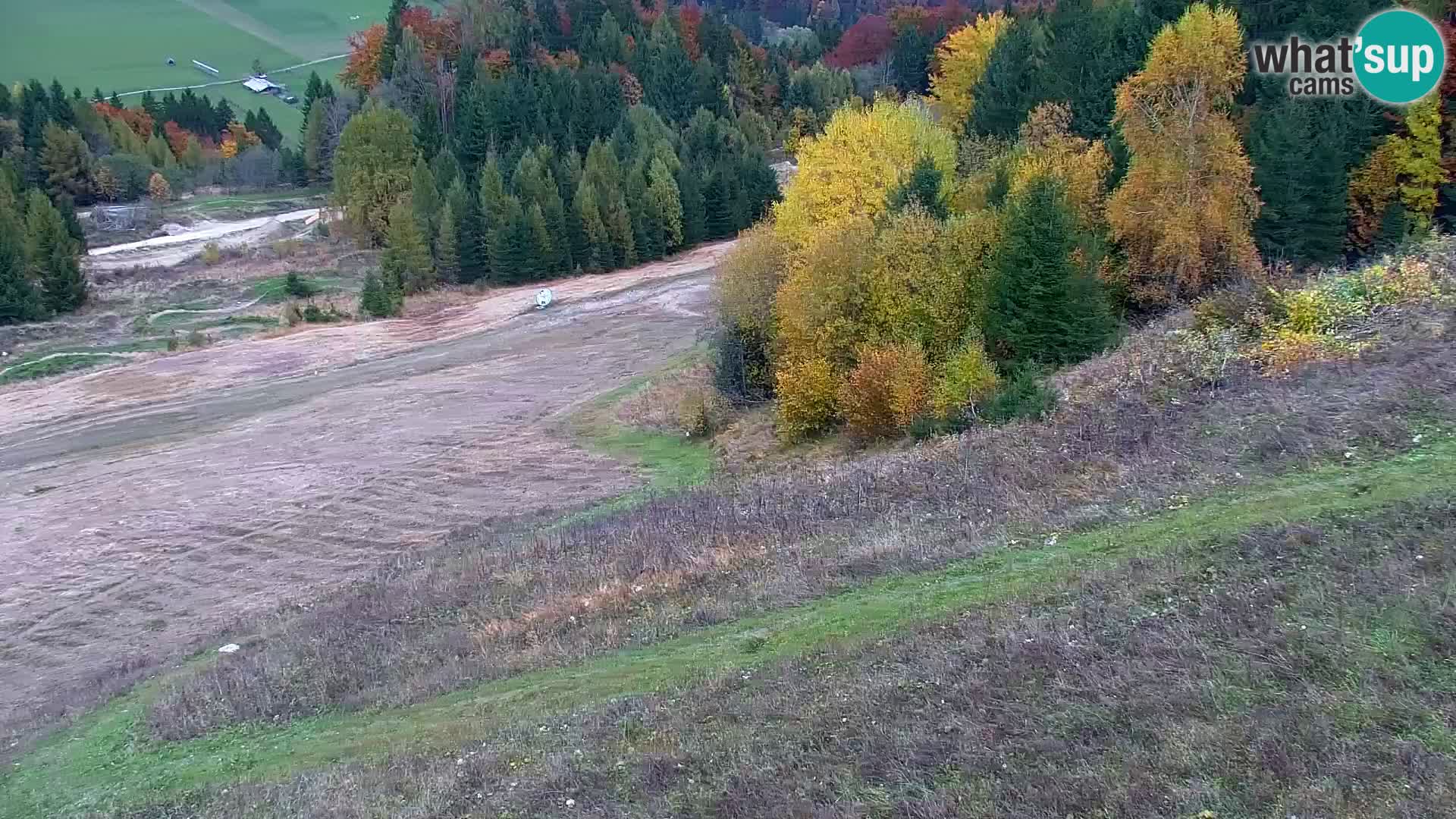 Vitranc Kranjska Gora webcam | VITRANC 1 stazione superiore