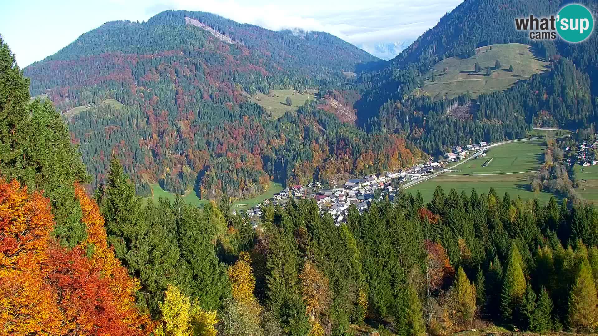 Vitranc Kranjska Gora webcam | VITRANC 1 stazione superiore