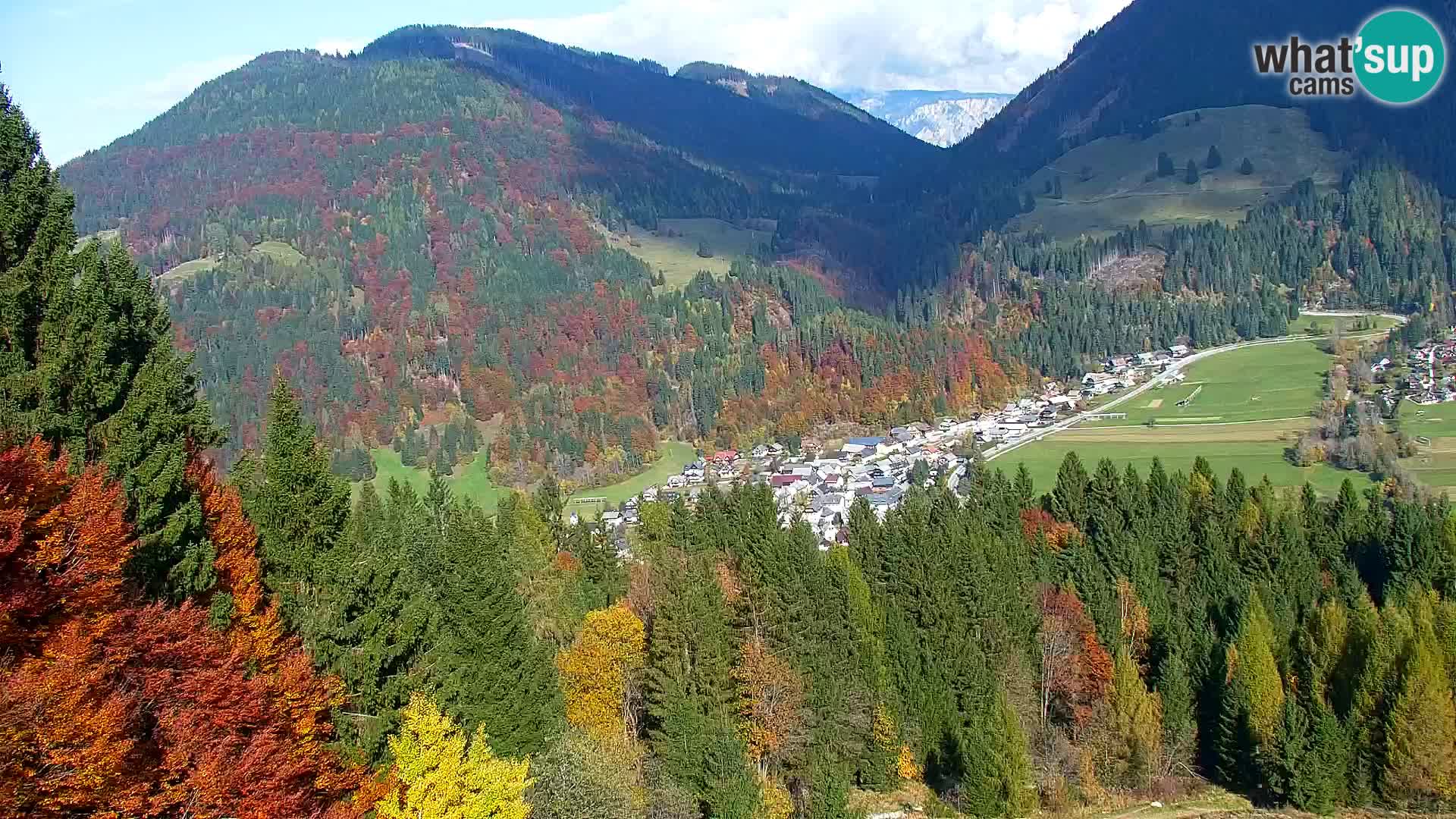 Vitranc Kranjska Gora webcam | VITRANC 1 stazione superiore
