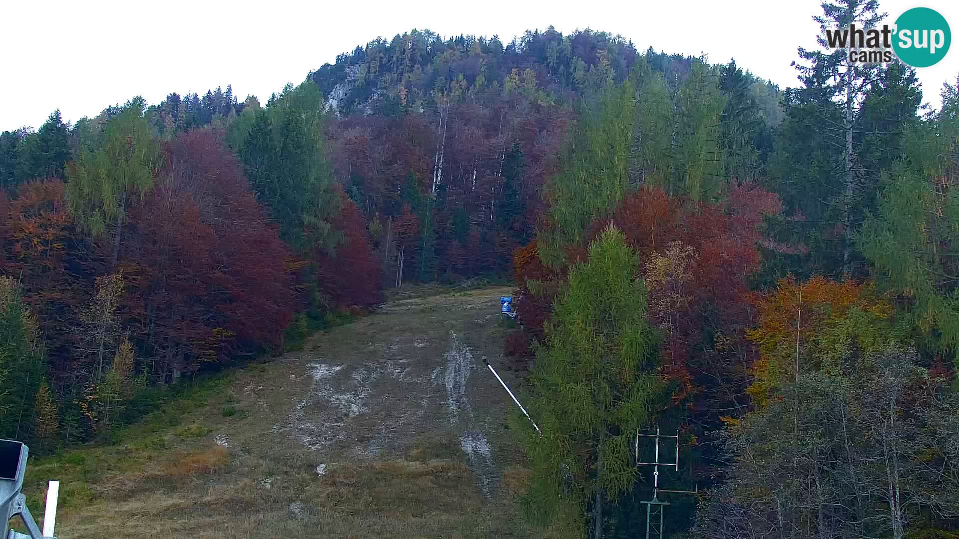 Kranjska Gora web kamera Vitranc | VITRANC 1 gornja postaja
