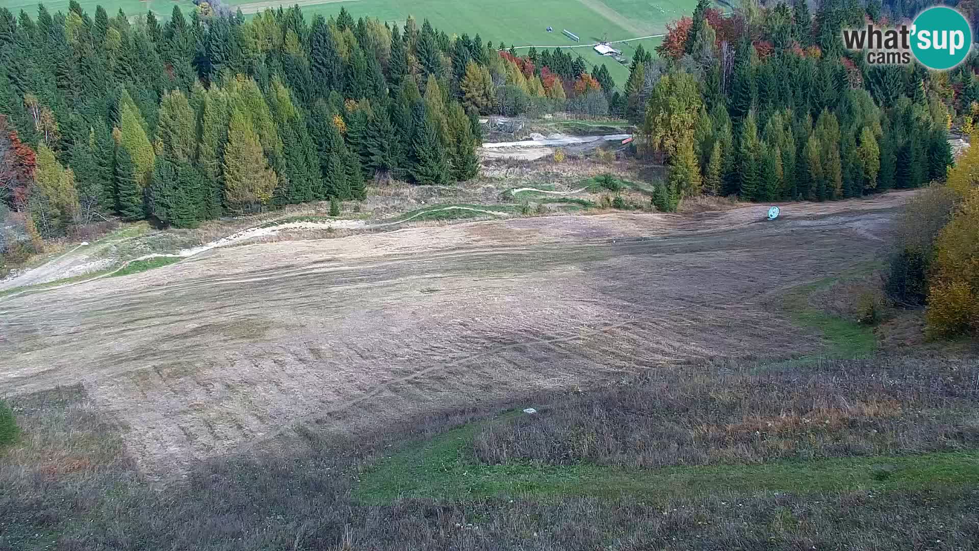 Vitranc Kranjska Gora webcam | VITRANC 1 stazione superiore