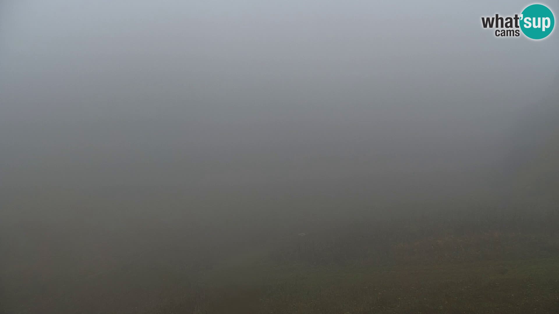 Vitranc Kranjska Gora webcam | VITRANC 1 stazione superiore