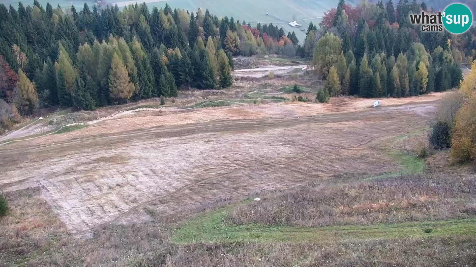 Vitranc Kranjska Gora webcam | VITRANC 1 stazione superiore