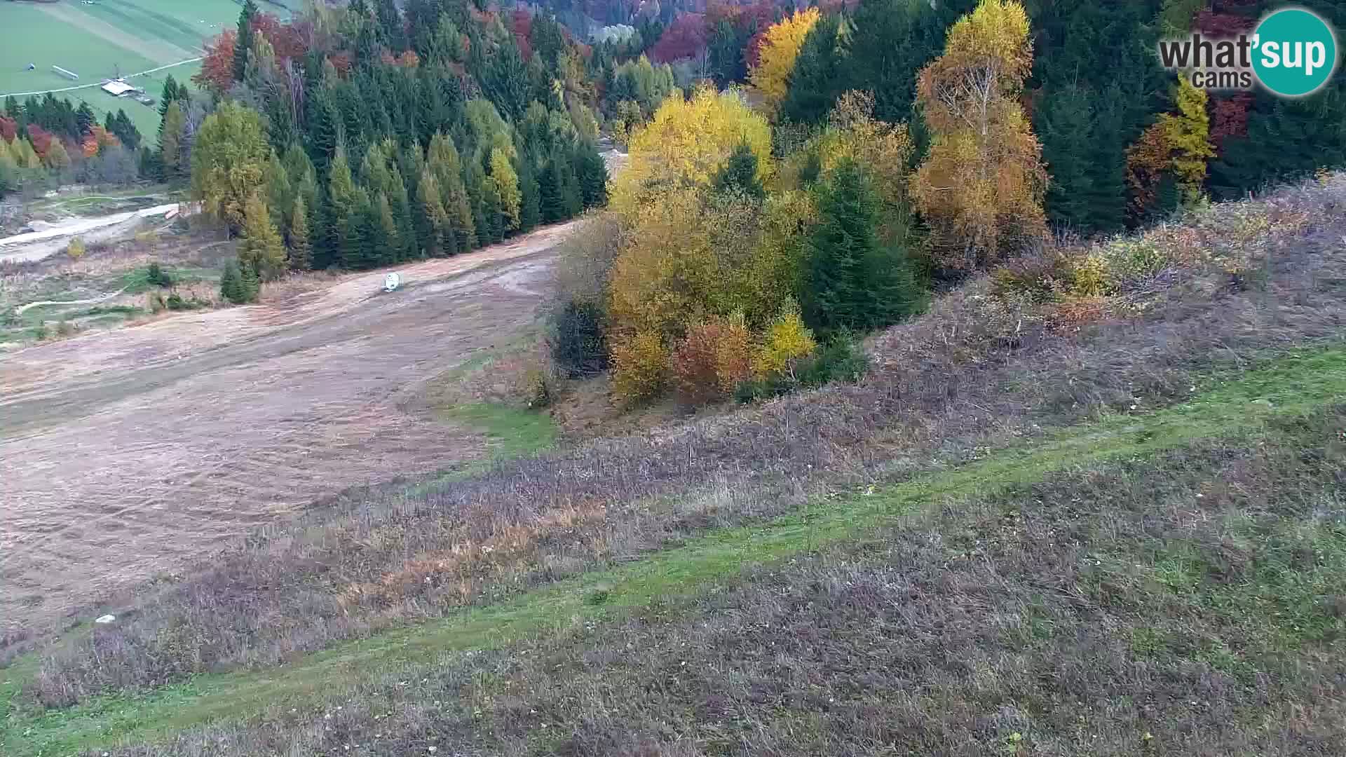 Vitranc Kranjska Gora webcam | VITRANC 1 stazione superiore