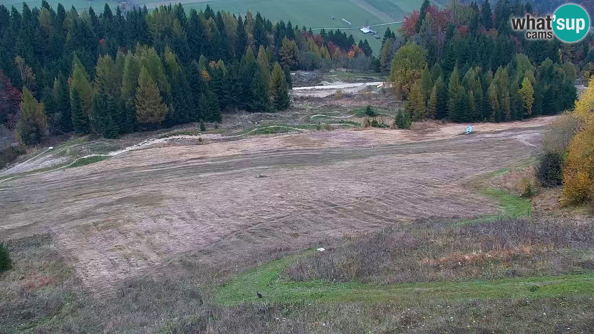 Kranjska Gora webcam VITRANC 1 | obere Station