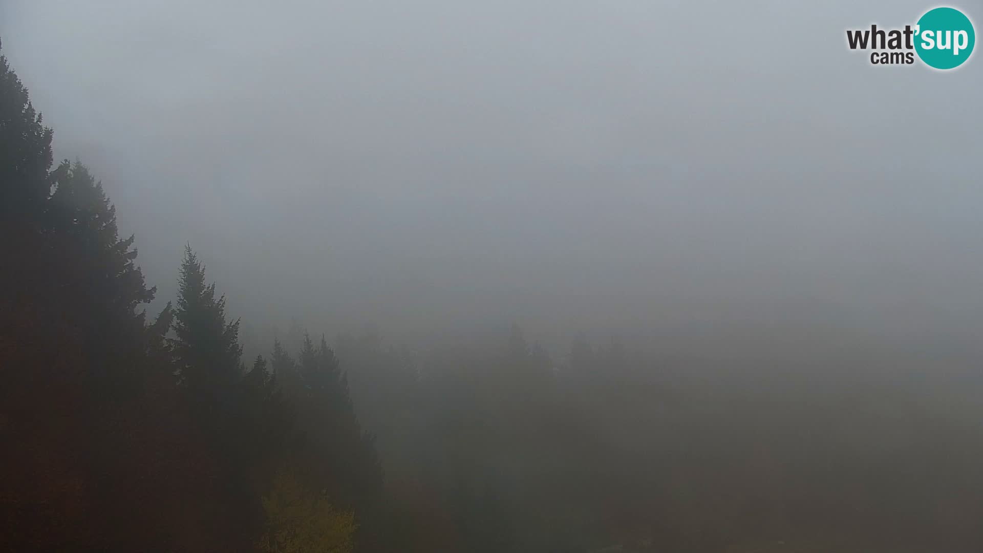 Kranjska Gora livecam VITRANC 1 | estación superior