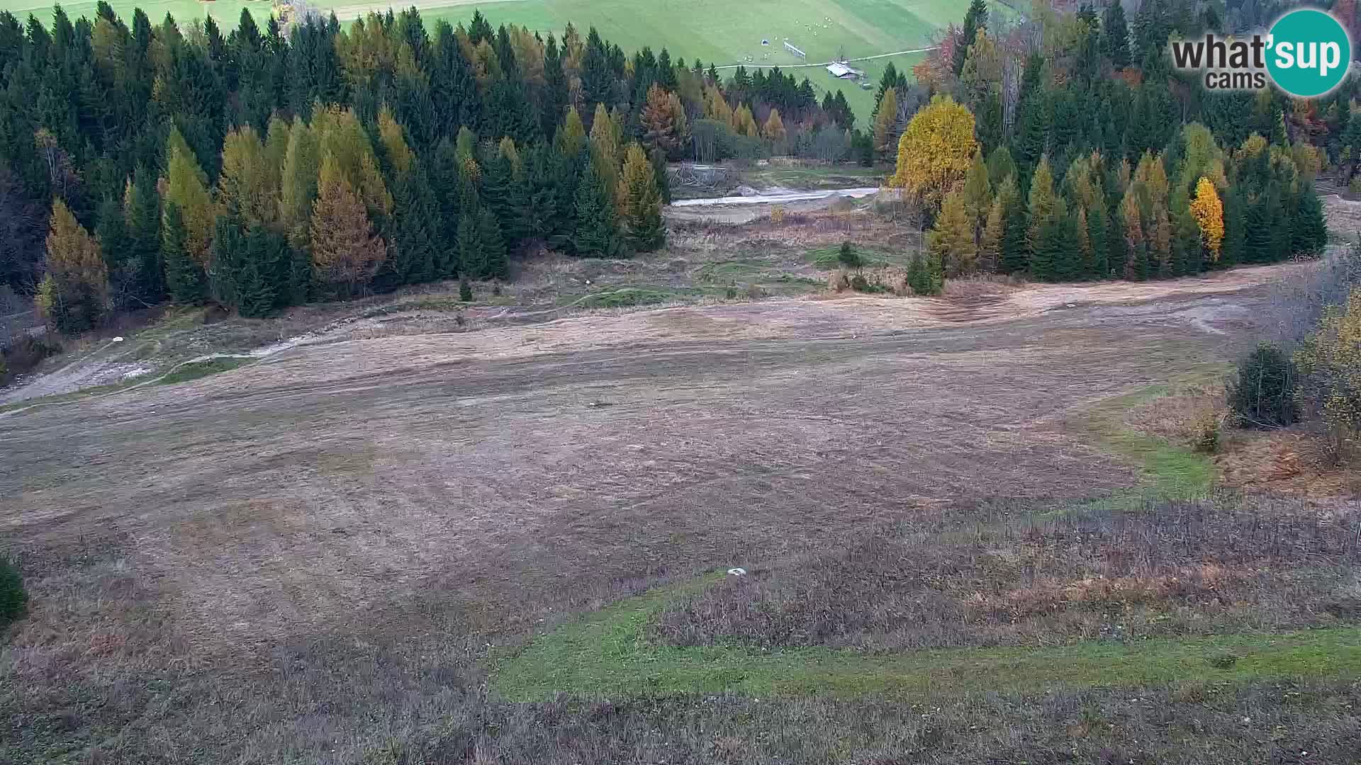 Vitranc Kranjska Gora webcam | VITRANC 1 stazione superiore