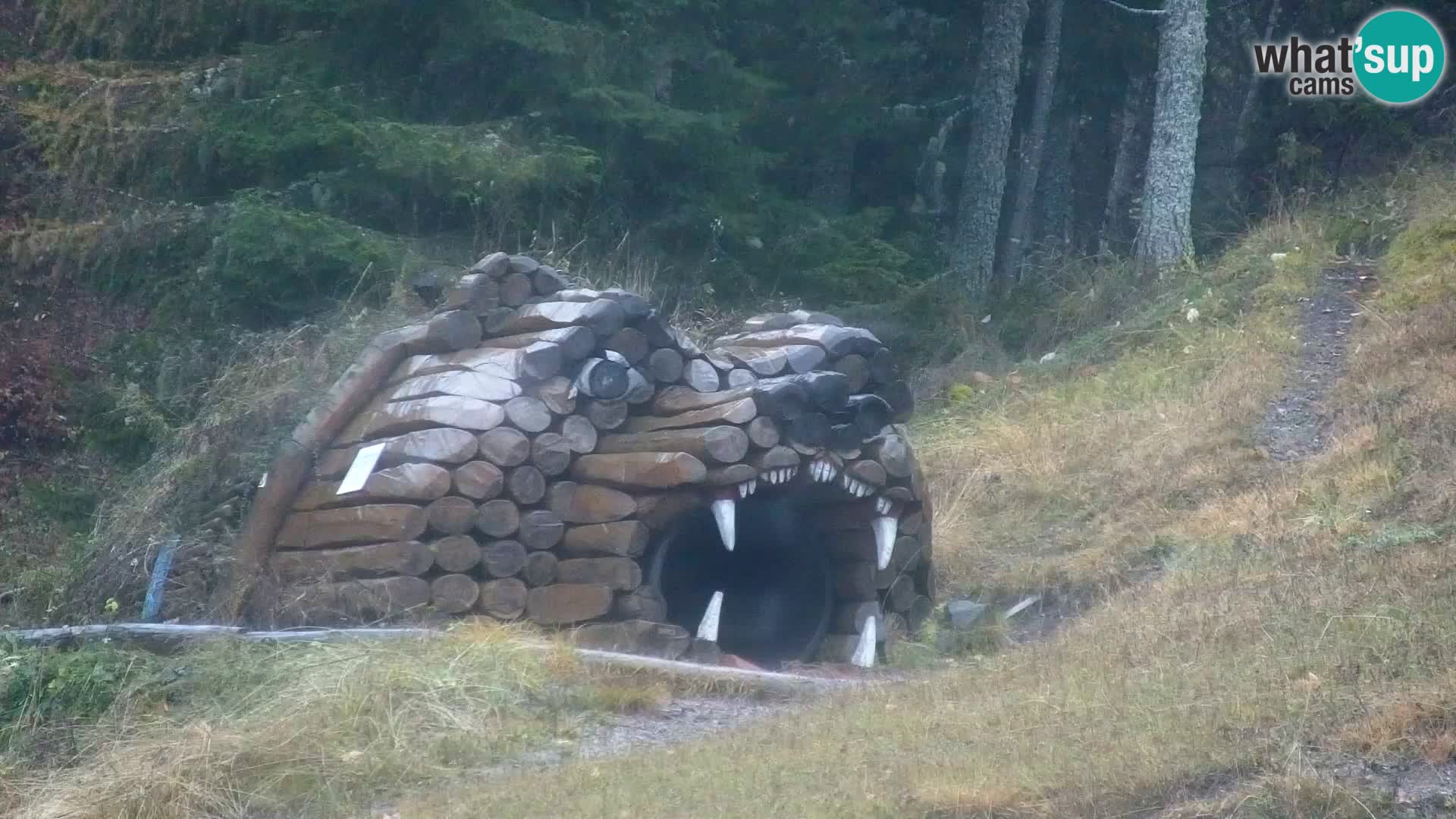 Vitranc Kranjska Gora webcam | VITRANC 1 stazione superiore