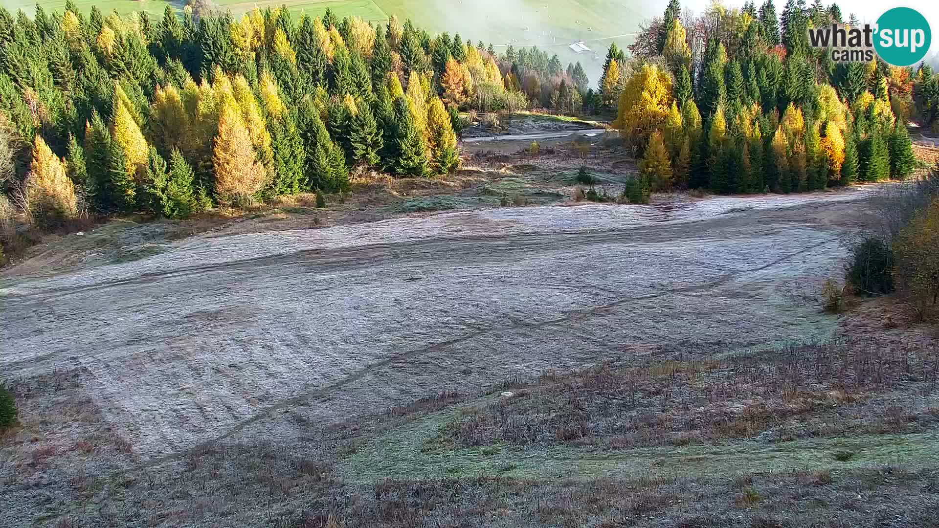 Vitranc Kranjska Gora webcam | VITRANC 1 stazione superiore