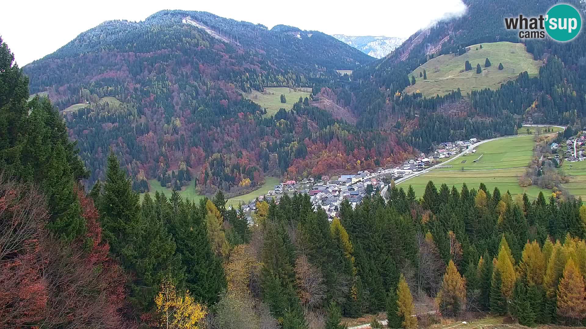 Vitranc Kranjska Gora webcam | VITRANC 1 stazione superiore