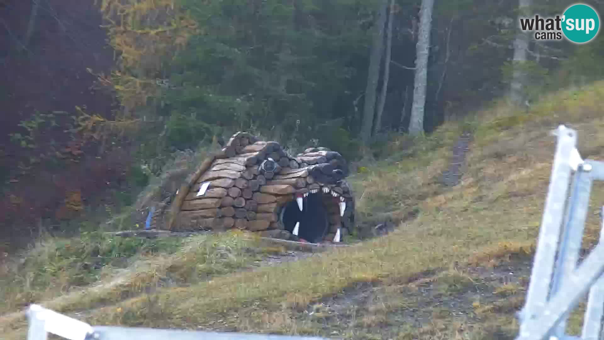 Vitranc Kranjska Gora webcam | VITRANC 1 stazione superiore