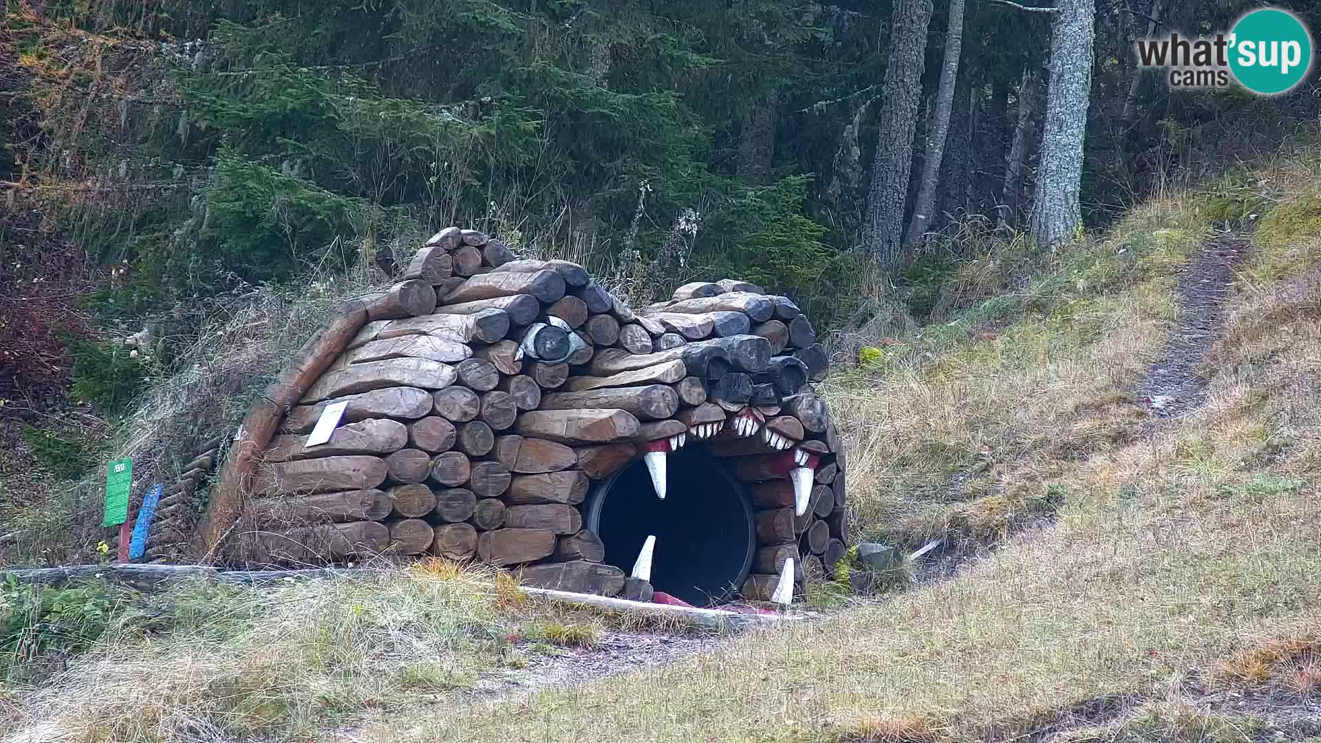 Estación de esquí Kranjska Gora | Estación superior VITRANC 1
