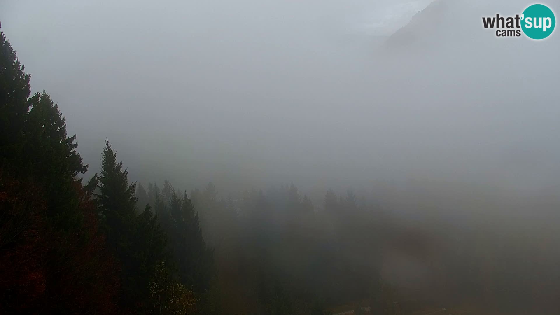 Kranjska Gora livecam VITRANC 1 | estación superior