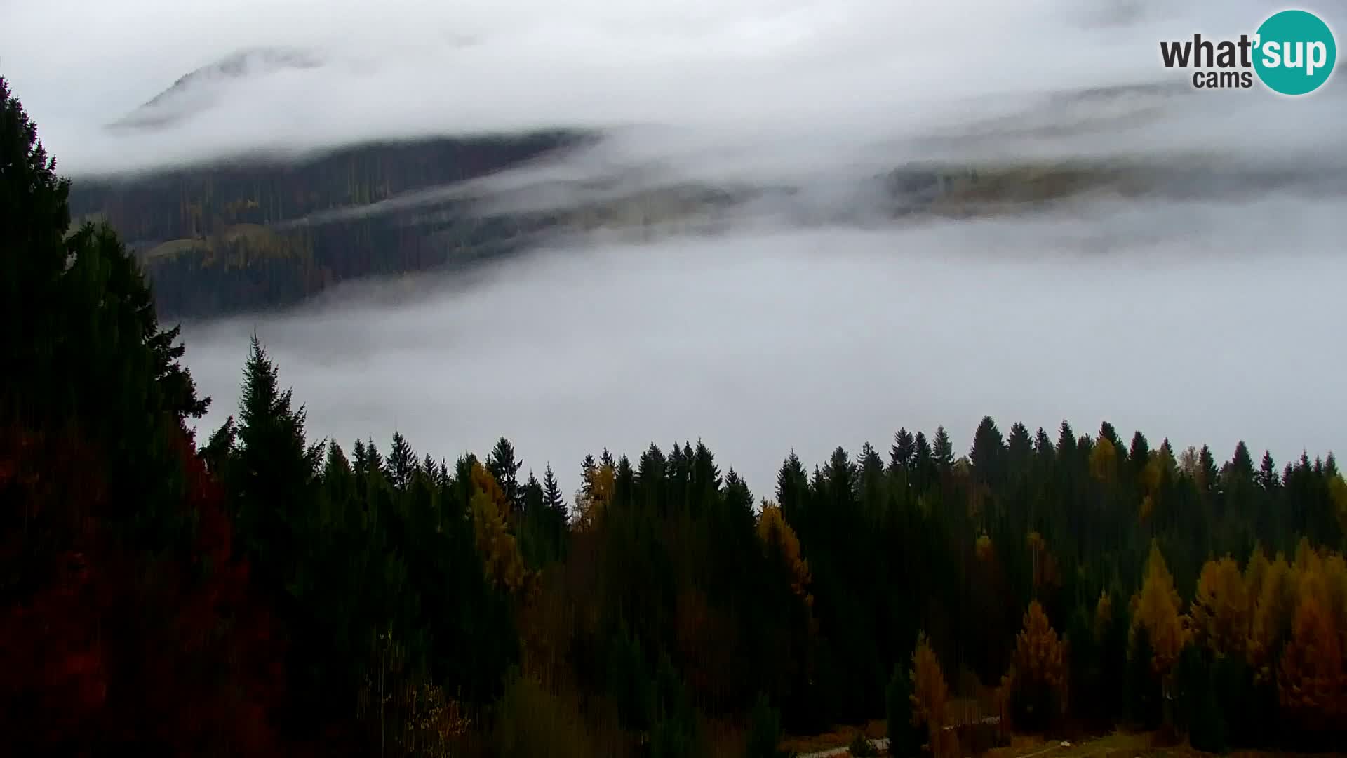 Kranjska Gora webcam VITRANC 1 | obere Station