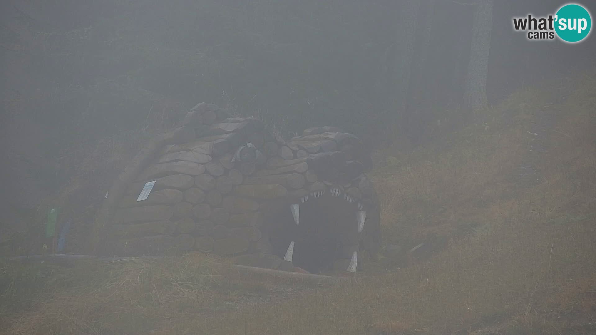 Kranjska Gora livecam VITRANC 1 | estación superior