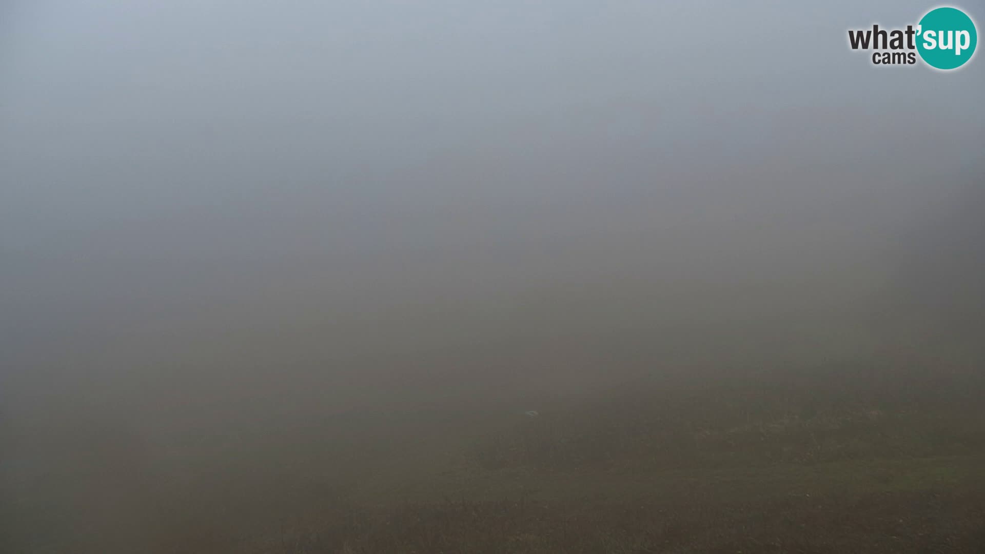 Vitranc Kranjska Gora webcam | VITRANC 1 stazione superiore