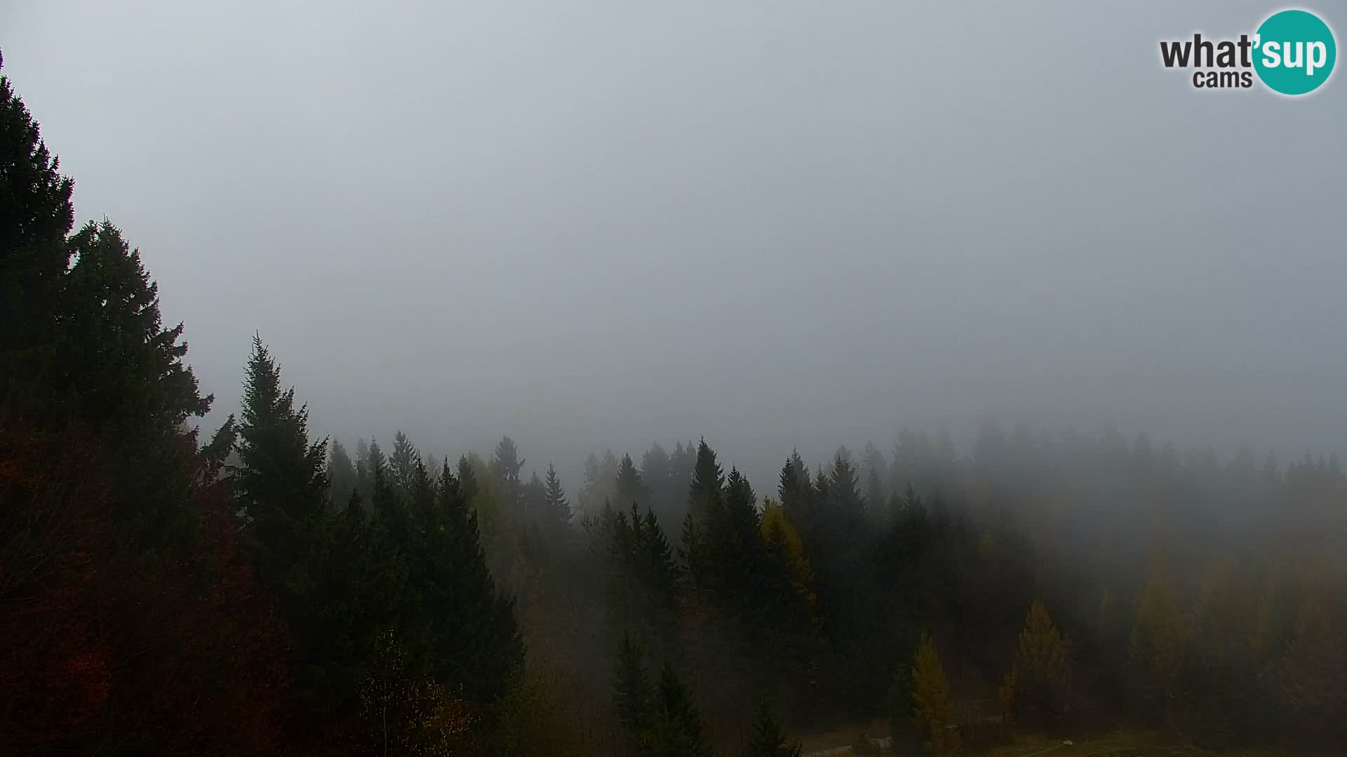 Vitranc Kranjska Gora webcam | VITRANC 1 stazione superiore