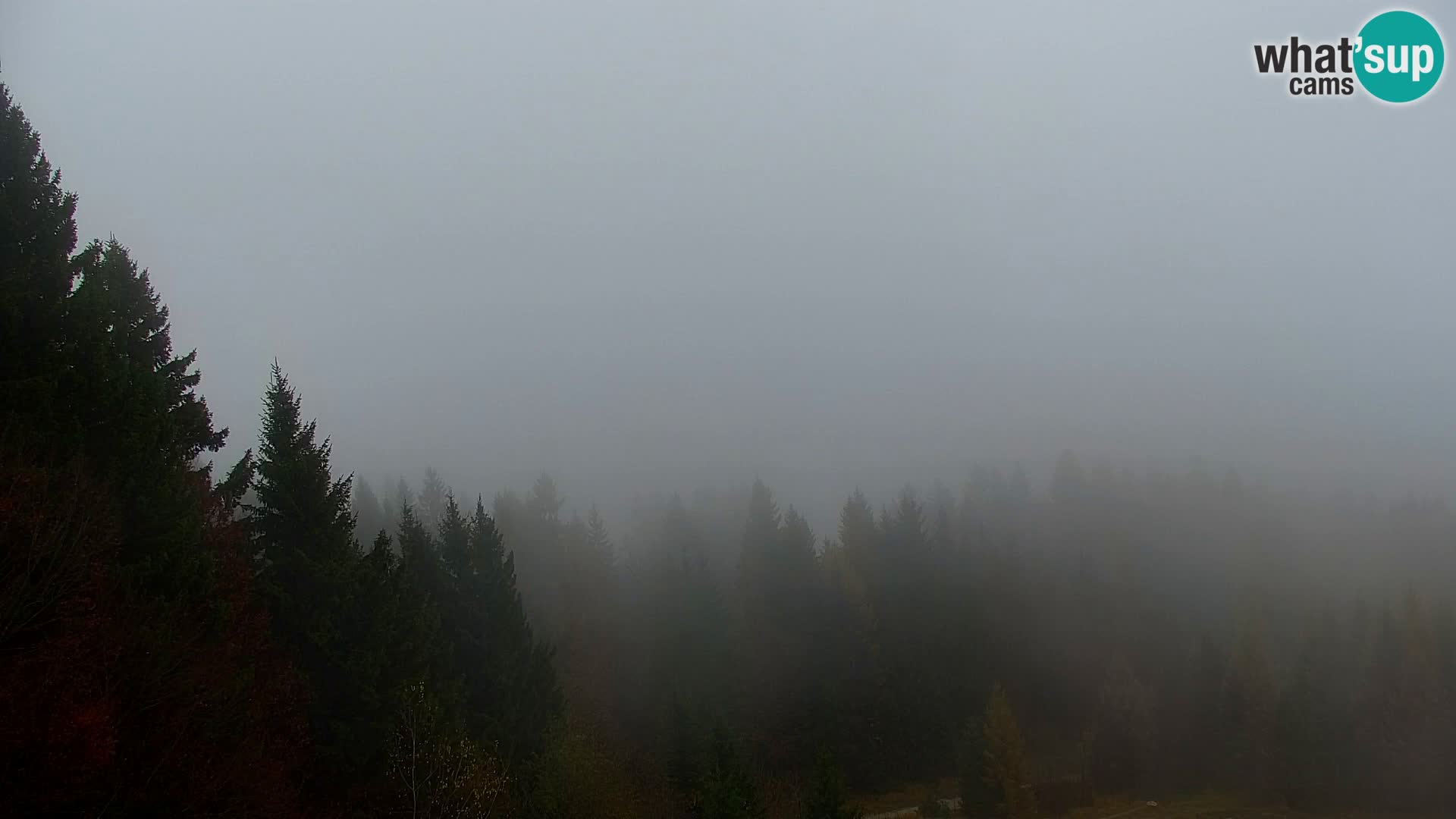 Kranjska Gora web kamera Vitranc | VITRANC 1 gornja postaja