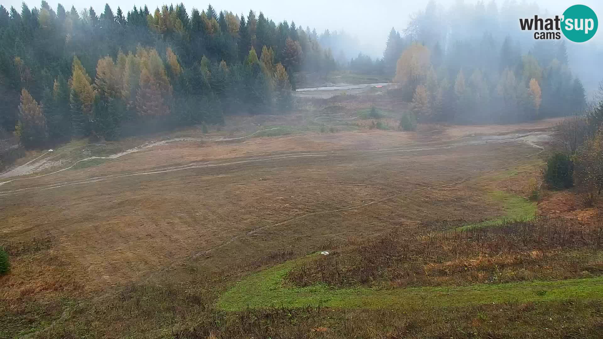 Vitranc Kranjska Gora webcam | VITRANC 1 stazione superiore
