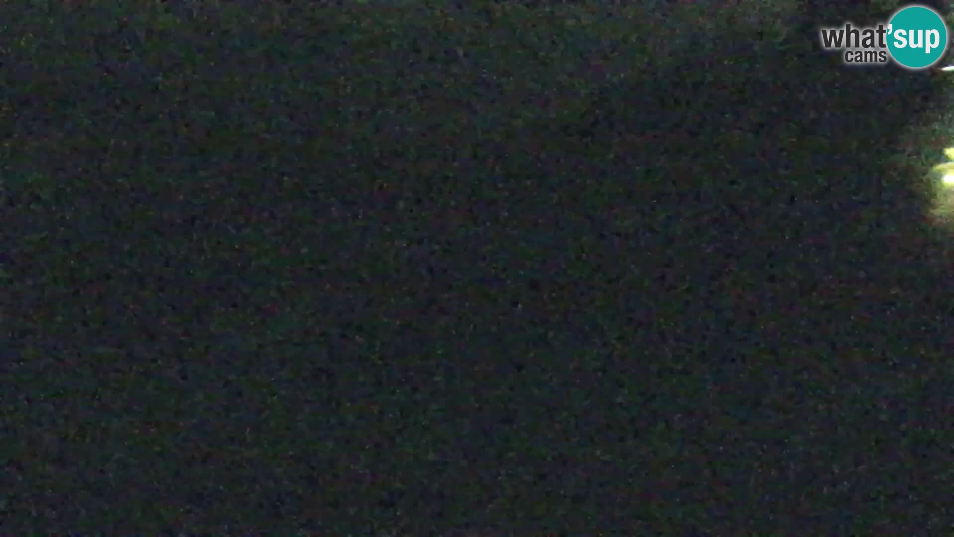 Vitranc Kranjska Gora webcam | VITRANC 1 stazione superiore