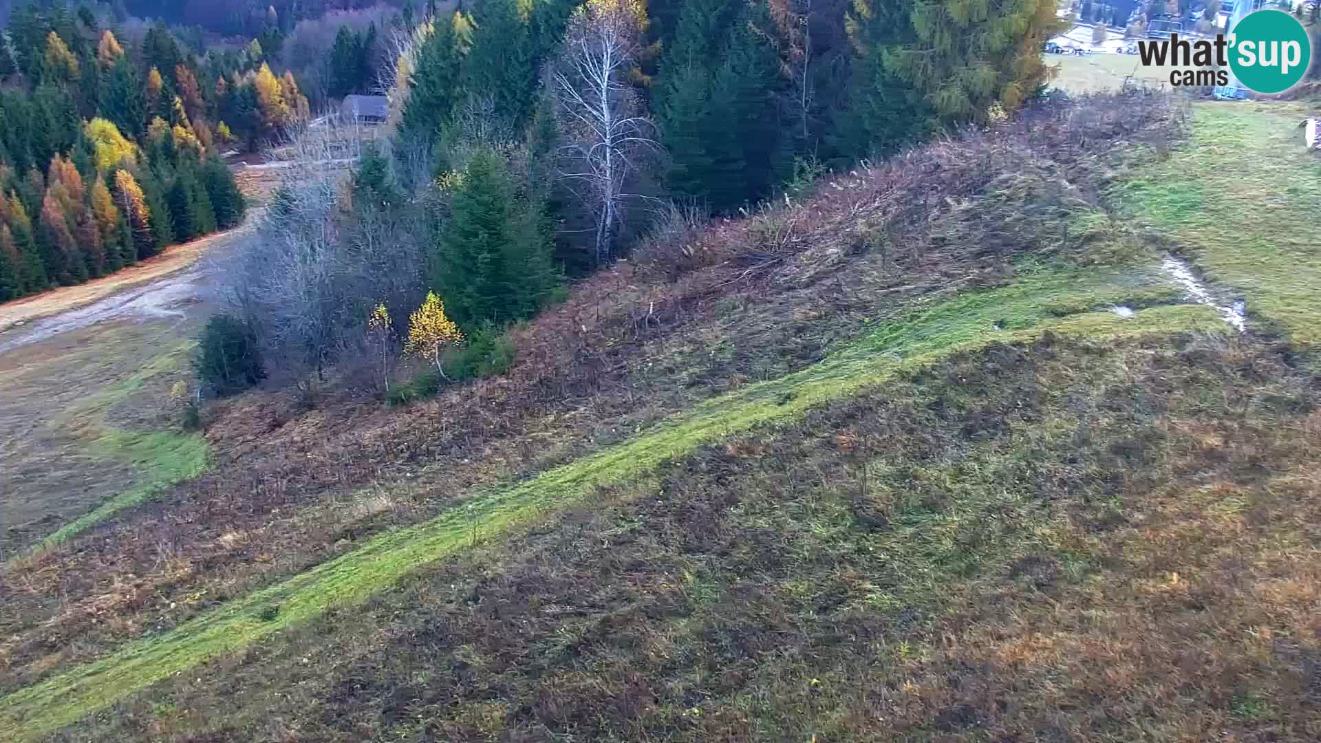 Vitranc Kranjska Gora webcam | VITRANC 1 stazione superiore
